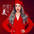 赵毛毛 - 非常完美