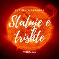 Statuje e trishte (TEDD Remix)