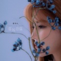 谢容儿 - 就此别过