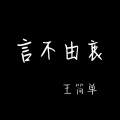 言不由衷 (男声DJ版)