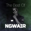 Q Chief、Ngwair、Cpwaa、P Funk Majani - Bed Fight
