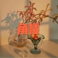 笙笙 - 侠行天龙