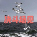 忘忧 (旋风版)