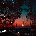 Amir - Preliminary