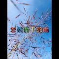 南妹 - 代名词
