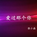 张小磊 - 孤城将军