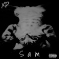 Xp - In the Forest