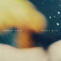 Jordan Critz - The Final Shore