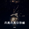 琳浩 - 我们都在用力的活着 (DJ版)