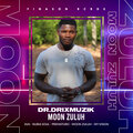 Dr.DrixMuzik、DJ Frankly - Moon Zuluh