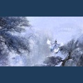 流浪的蛙蛙 - 浩气盟·一剑霜寒
