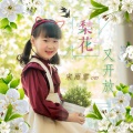 宋雨霏 - 梨花又开放