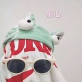 林波 - 东风 破