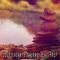 Binaural Sensation - The Slow Binaural Chime