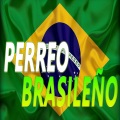 Dj Perreo - Mix Perreo Brasileño - Mejores Perreos Brasil 2020