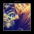 Symbiosis