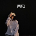 林波 - 这就是爱