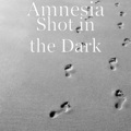 Amnesia - Shot in the Dark (Explicit)