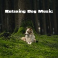 Dog Music Therapy、Dog Music Waves、Relax My Dog Music - Innerlight