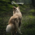 Dog Music Therapy、Dog Music Waves、Relax My Dog Music - Connected