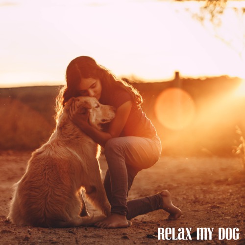 Dog Music Therapy、Dog Music Waves、Relax My Dog Music - Have Me