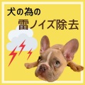 犬猫ヘルパー - リラックスさせる