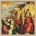 Karl Richter、Münchener Bach-Orchester、julia hamari - J.S. Bach: Herr, deine Augen sehen nach dem Glauben, Cantata BWV 102 / Pt. 2: VI. 