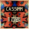 I Wish (Original Mix)