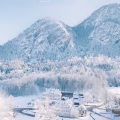 恋