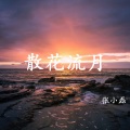 张小磊 - 散花流月
