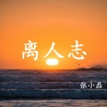张小磊 - 离人志