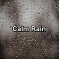 Calm Rain