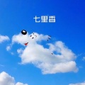 安静(15) - 未知