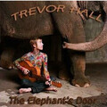 Trevor Hall - 31 Flavors