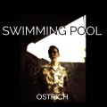 Ostrich - Swimming Pool