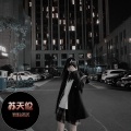 苏天伦 - 我还是