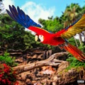 Jake Paul、Diversify、Tyla Yaweh、KSI、Lil Tracy - Wild Parrots