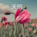 苍白 - 我的中国心 (DJ版)