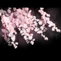 16err - 用虎视眈眈打开极乐净土
