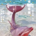 千绮聆音 - 嘿姑娘