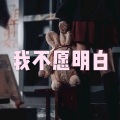 大乔 - 带上勇敢去流浪 (摇摆版)
