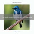 The Nature Composes Sounds For Perfect Recharge
