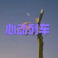 阳光不锈 (风暴版)