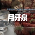 制胜无限速 (热闹版)