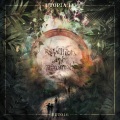 The Note V - Corazon
