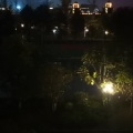 九梦 - 手放开