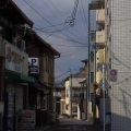 明月夜 - 虞兮叹