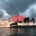 我醒着做梦 (风景版)