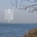 海浪 (DJ咕咚版)