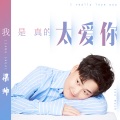 梁帅 - 我是真的太爱你